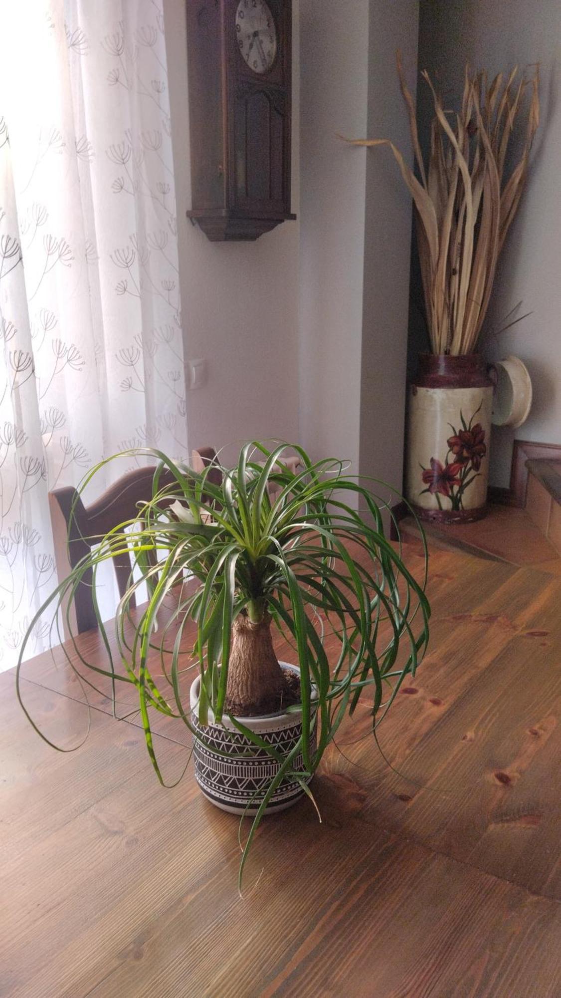 El Balcon De Villapresente Ngoại thất bức ảnh